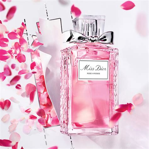 dior roses n roses fragrantica|dior rose n roses sample.